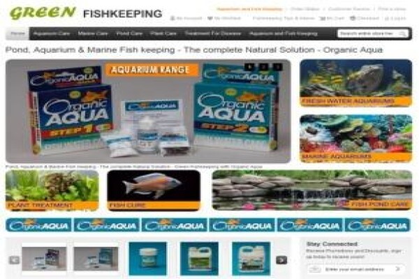 Seo Search Engine Optimization