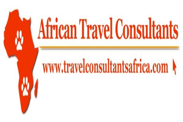Wilson Consulting Web Design Services