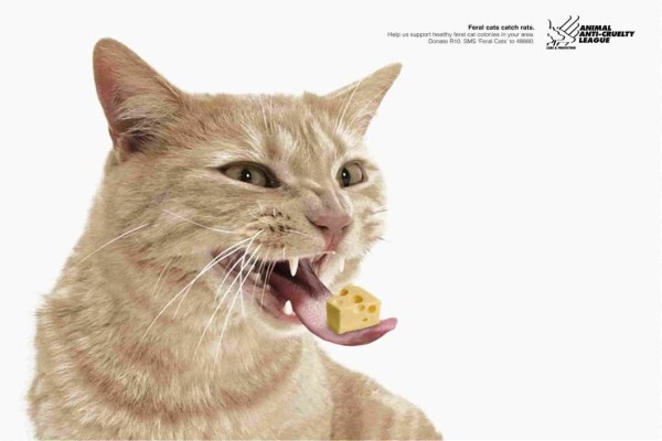 The Hungry Copywriter