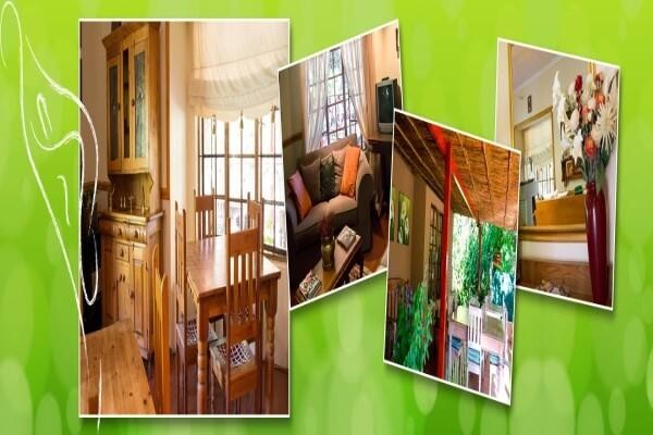 Lily Guesthouse