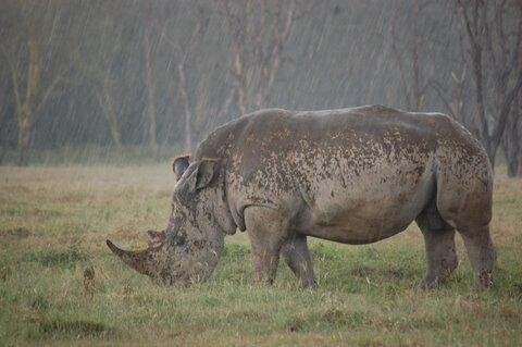 African Wanderer Tours & Safaris