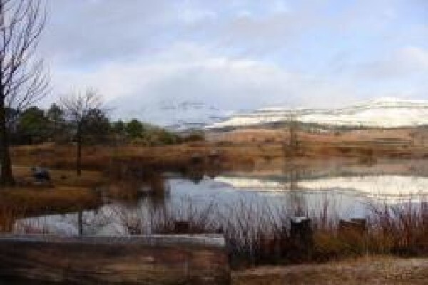 Berghaven