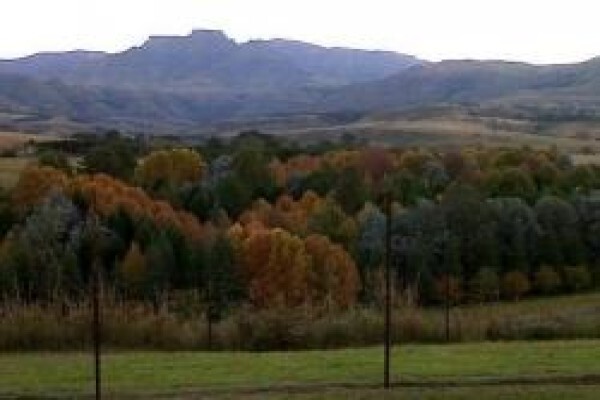 Berghaven