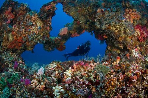 Divers Retreat
