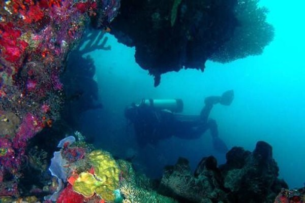 Divers Retreat