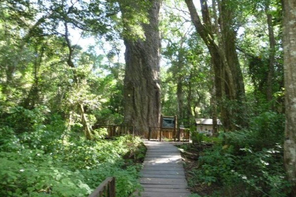 Inn2Wilderness Guesthouse