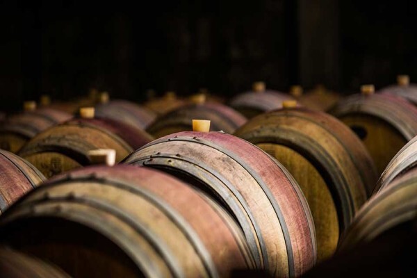 Institute Of Cape Wine Masters