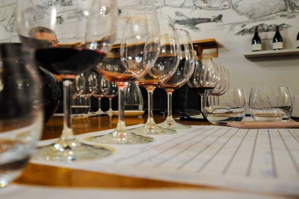 Institute Of Cape Wine Masters