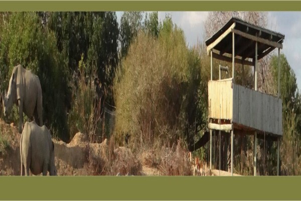 Tshukudu Bush Camp