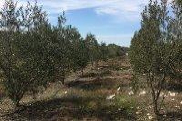 Wildekloof
