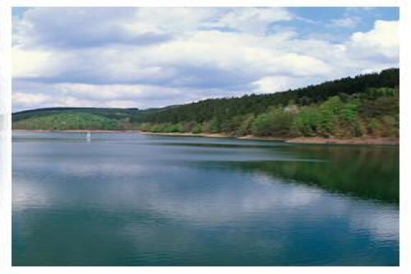 Gauteng Environmental Services