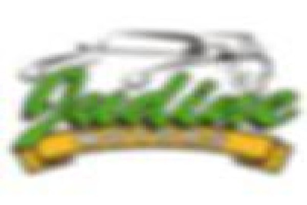 Judine Motors (Boksburg)