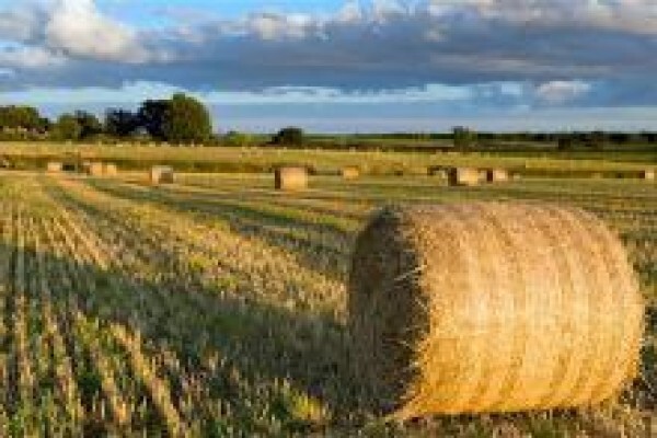 Agriseek