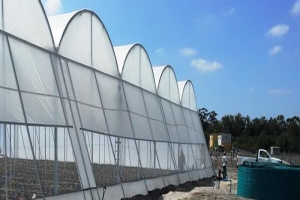 Cede Greenhouses