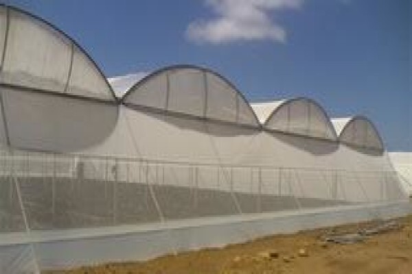Cede Greenhouses