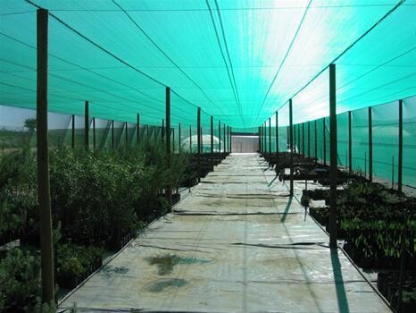 Cede Greenhouses