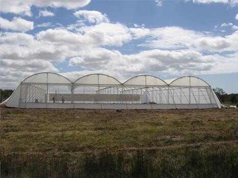 Cede Greenhouses