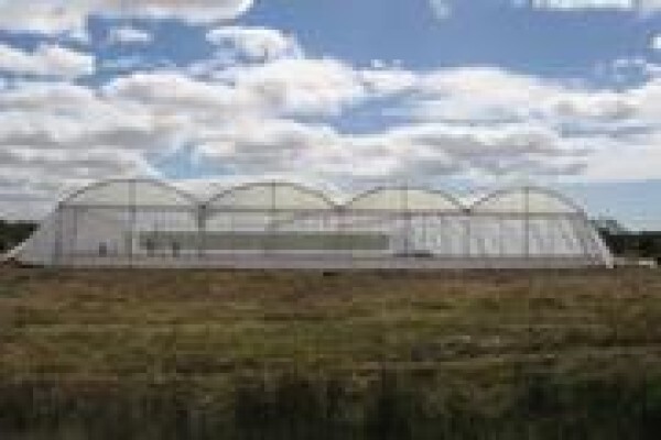 Cede Greenhouses
