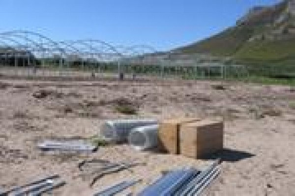 Cede Greenhouses