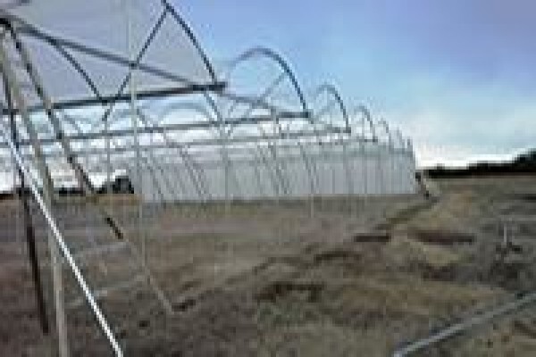 Cede Greenhouses