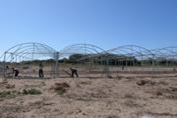 Cede Greenhouses
