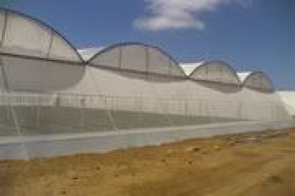 Cede Greenhouses