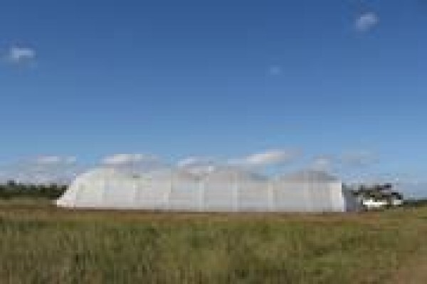 Cede Greenhouses
