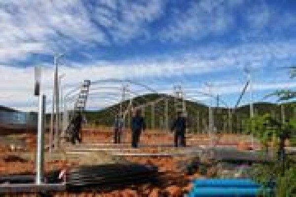 Cede Greenhouses