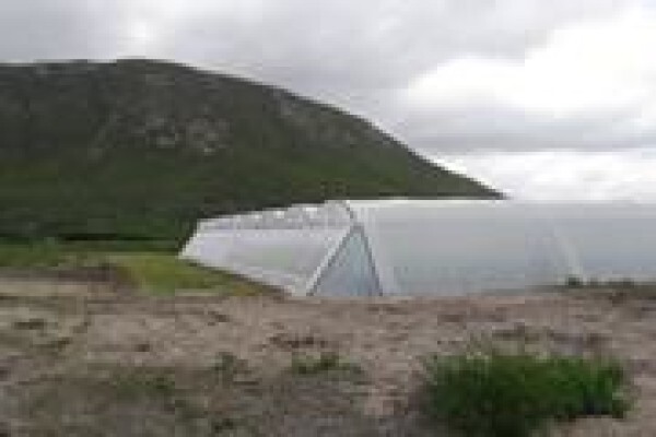 Cede Greenhouses