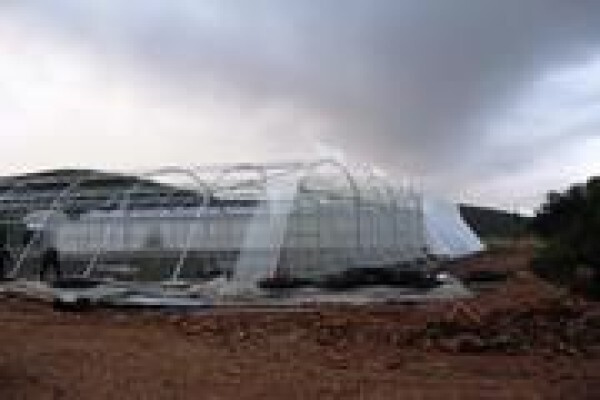 Cede Greenhouses