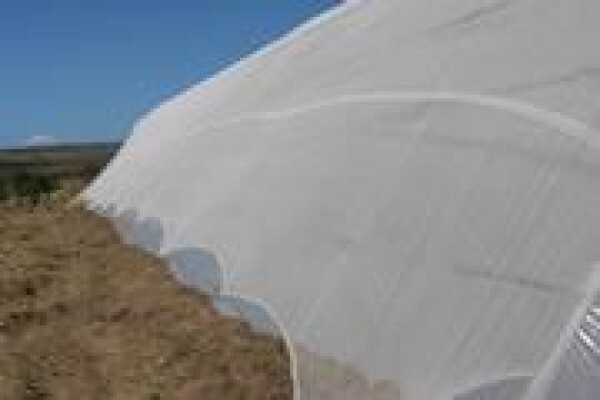 Cede Greenhouses