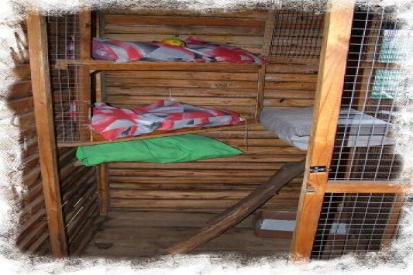 Daleside Boarding Kennels & Shop
