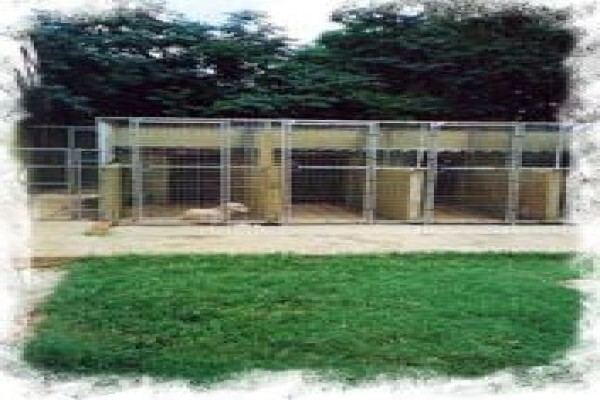 Daleside Boarding Kennels & Shop