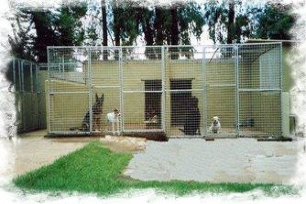 Daleside Boarding Kennels & Shop
