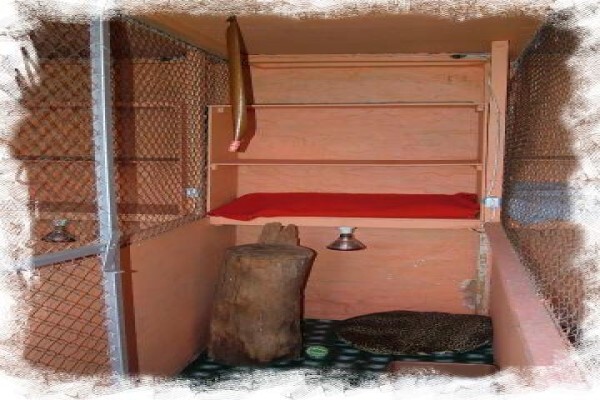 Daleside Boarding Kennels & Shop