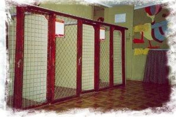 Daleside Boarding Kennels & Shop