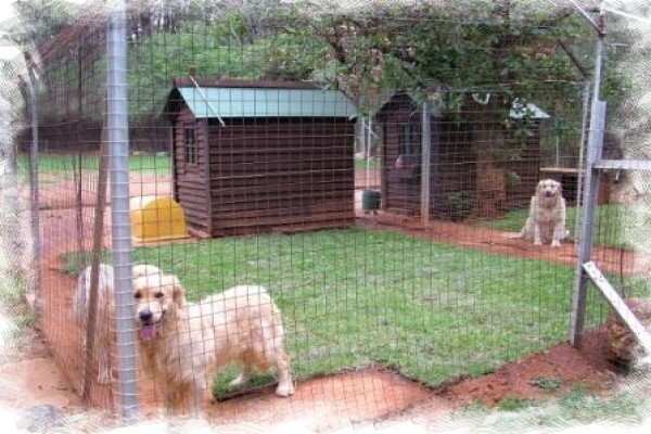Daleside Boarding Kennels & Shop