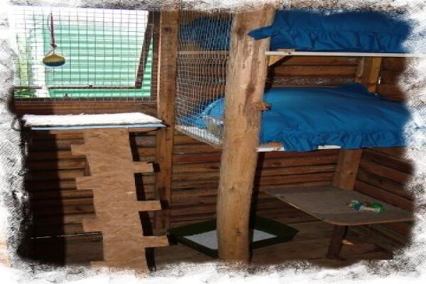 Daleside Boarding Kennels & Shop
