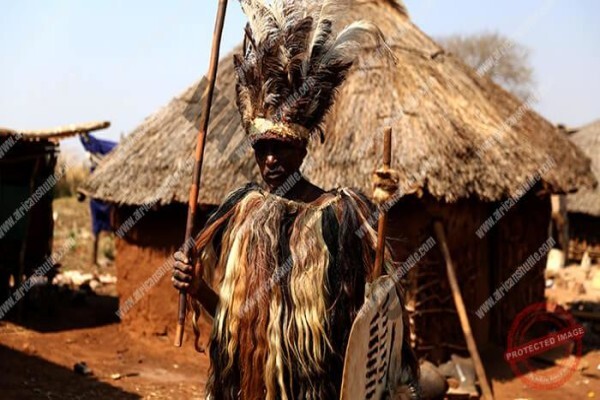 Evo'S African Shuttle