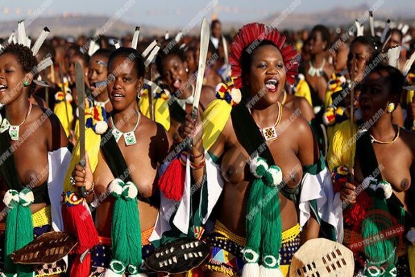 Evo'S African Shuttle