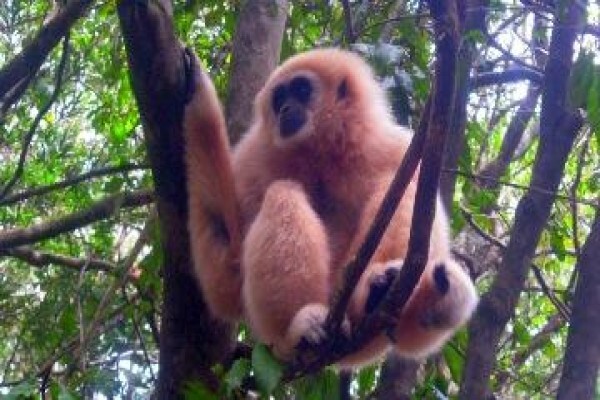 Kamiga Tours And Transfers