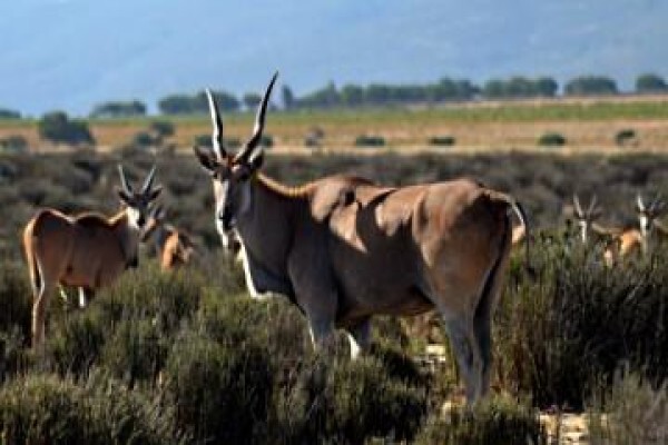 Kamiga Tours And Transfers