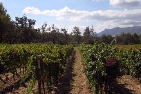 Kamiga Tours And Transfers