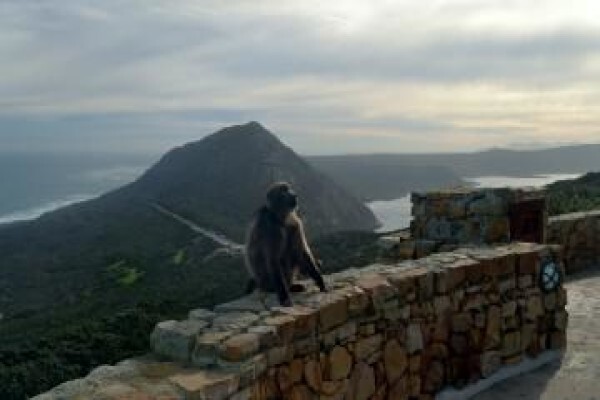 Kamiga Tours And Transfers