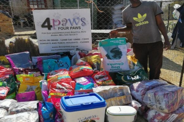 4Ourpaws
