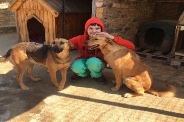 4Ourpaws