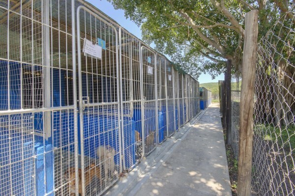 Empangeni Spca