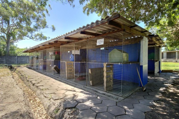 Empangeni Spca