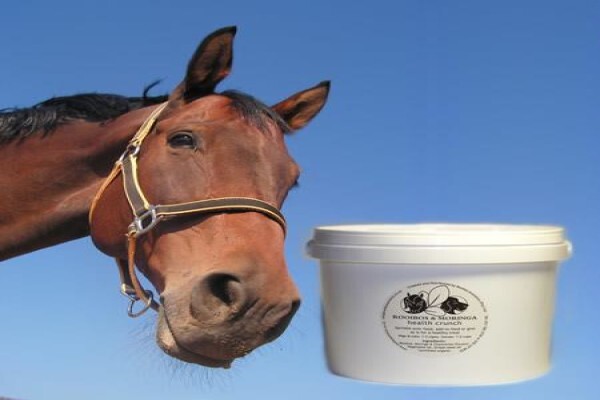 Rooibos Anti-Itch