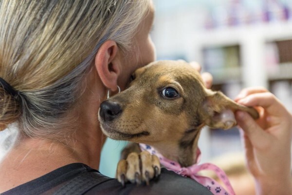 Kloof Spca